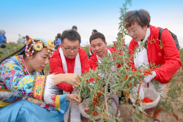 深入探秘心跳加速的深红色房间，解密挑战与谜题