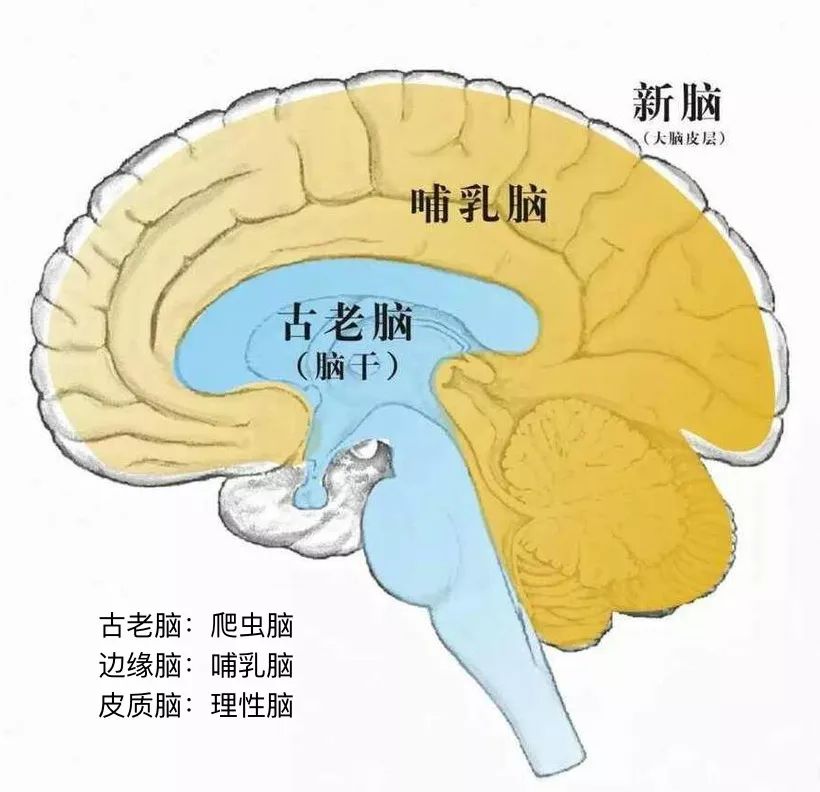 幻想三国志天元异事录_幻想三国志4外传_幻想三国志2