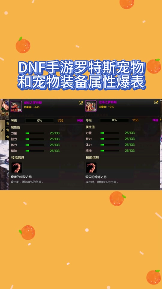 dnfpk服怎么进_dnfpk服登陆器_dnfpk服是什么