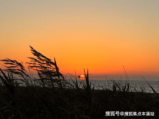 电驴好用还是迅雷_电驴好用的服务器_电驴好用吗