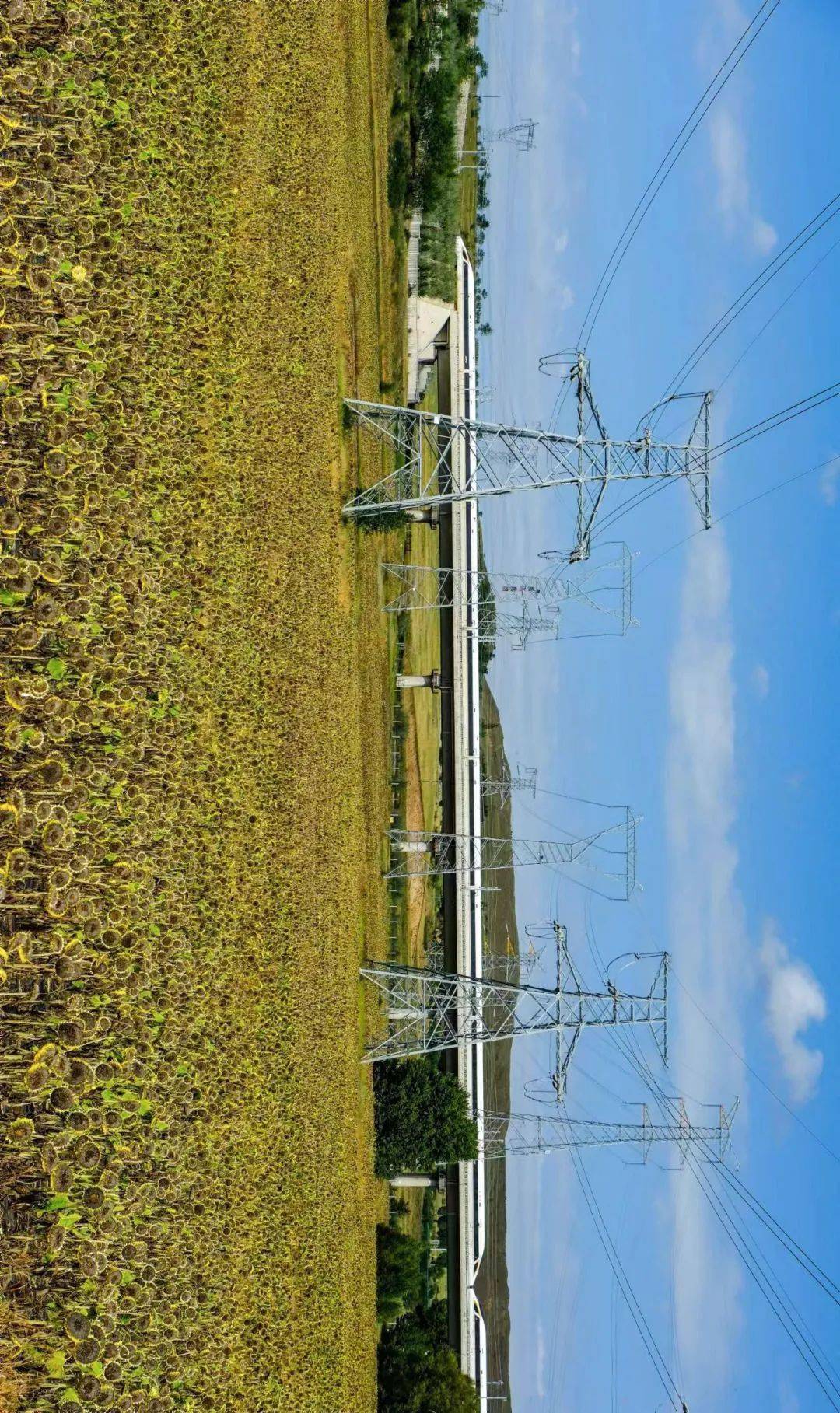 探秘无头骑士坐骑：风雨之夜的神秘邂逅与震撼接触