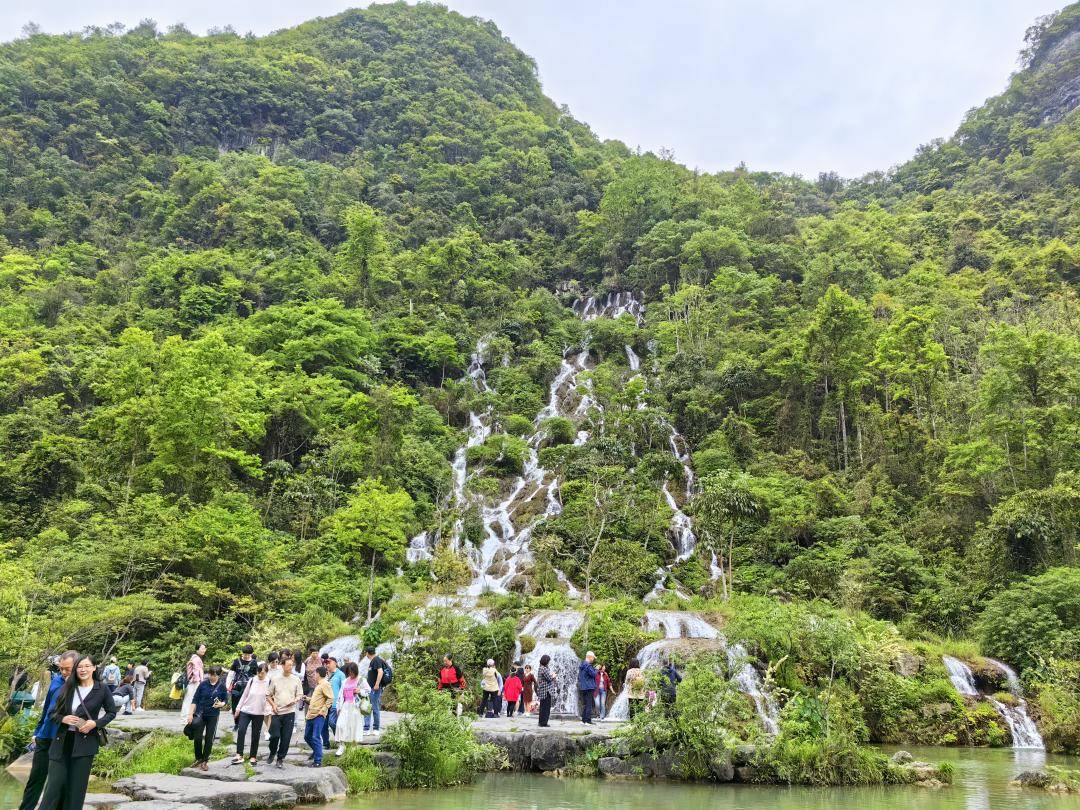 蛇年皮肤王者_蛇年皮肤_蛇年皮肤会给谁