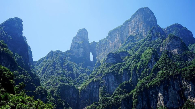 追寻魔狮迪露的足迹：探索神秘生物的冒险之旅