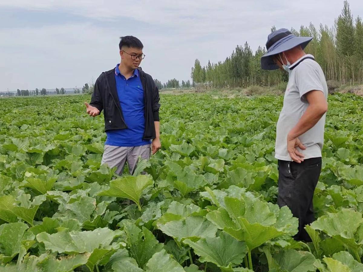 土豆客服_土豆客服电话人工服务_土豆客服怎么联系