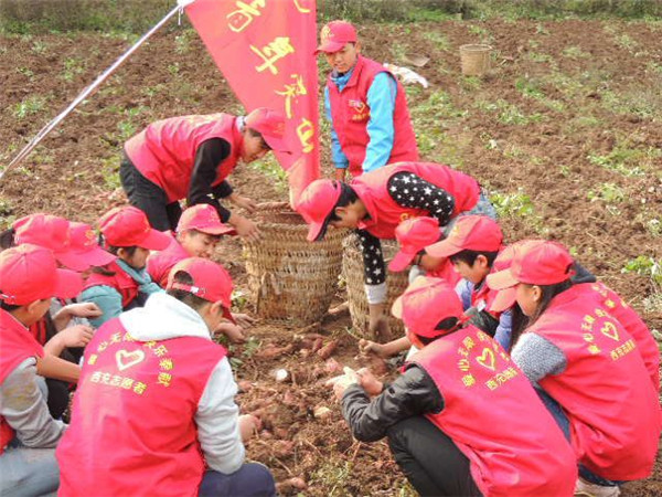 农场活动总结_农场活动券图片大全_qq农场活动