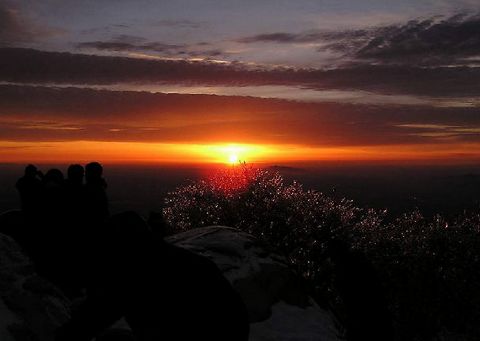 阿什福德平原观景点_阿什福德平原_阿什福德平原英雄点