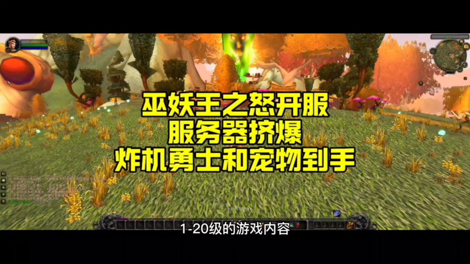 魔兽世界无法启动，服务器故障引发玩家担忧，装备和进度怎么办？