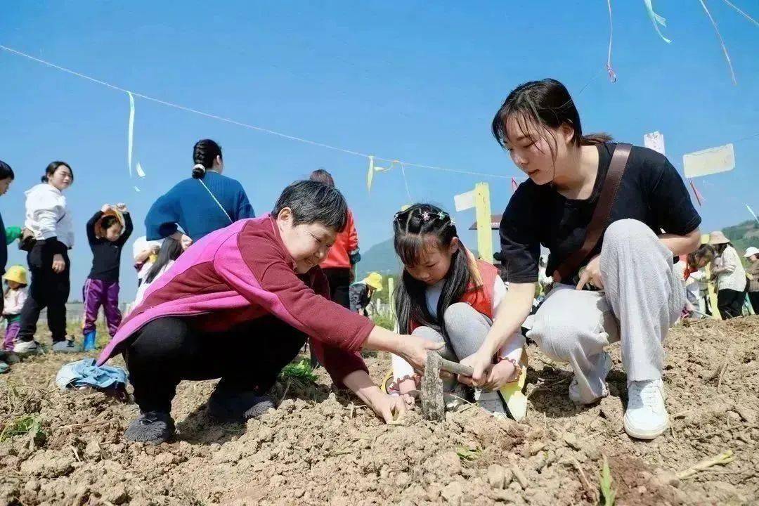 农场活动_农场活动总结_农场活动英语作文