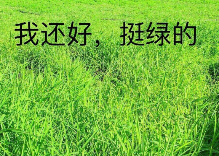 问道天下道君是第几名_问道天下道尊是第几名_天下之问道