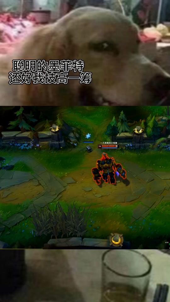 lol4排能开不_lol 4p_lol4票投降