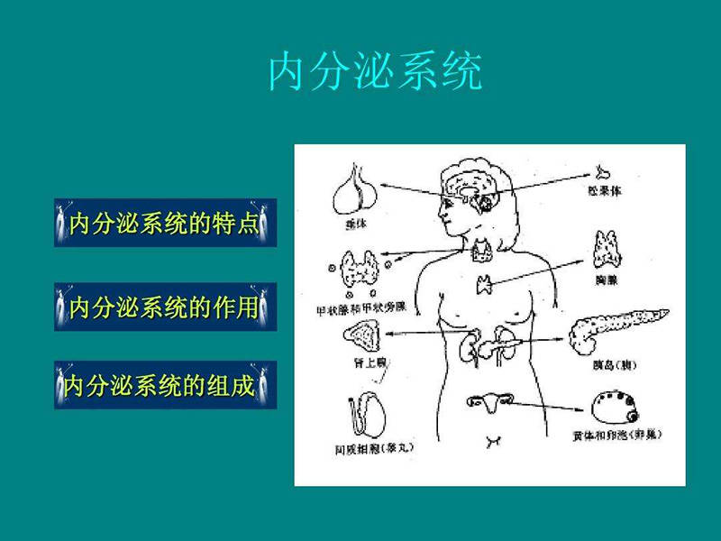 无法连接英雄联盟_lol重新连接没反应_lol无法连接游戏还没对局