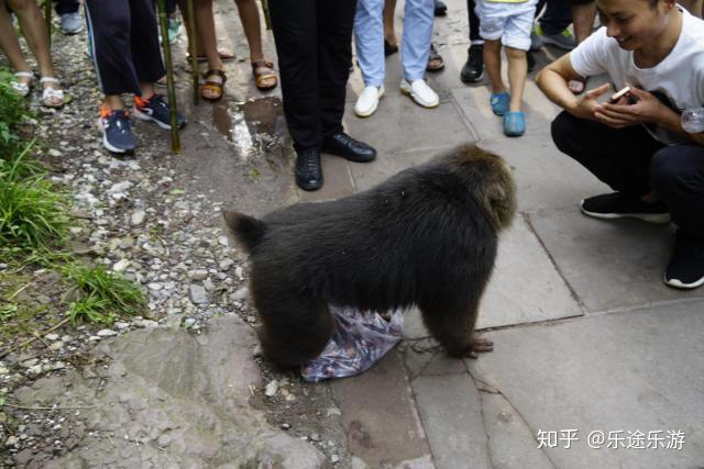 猴子刷野技巧_刷猴子_猴子刷双野