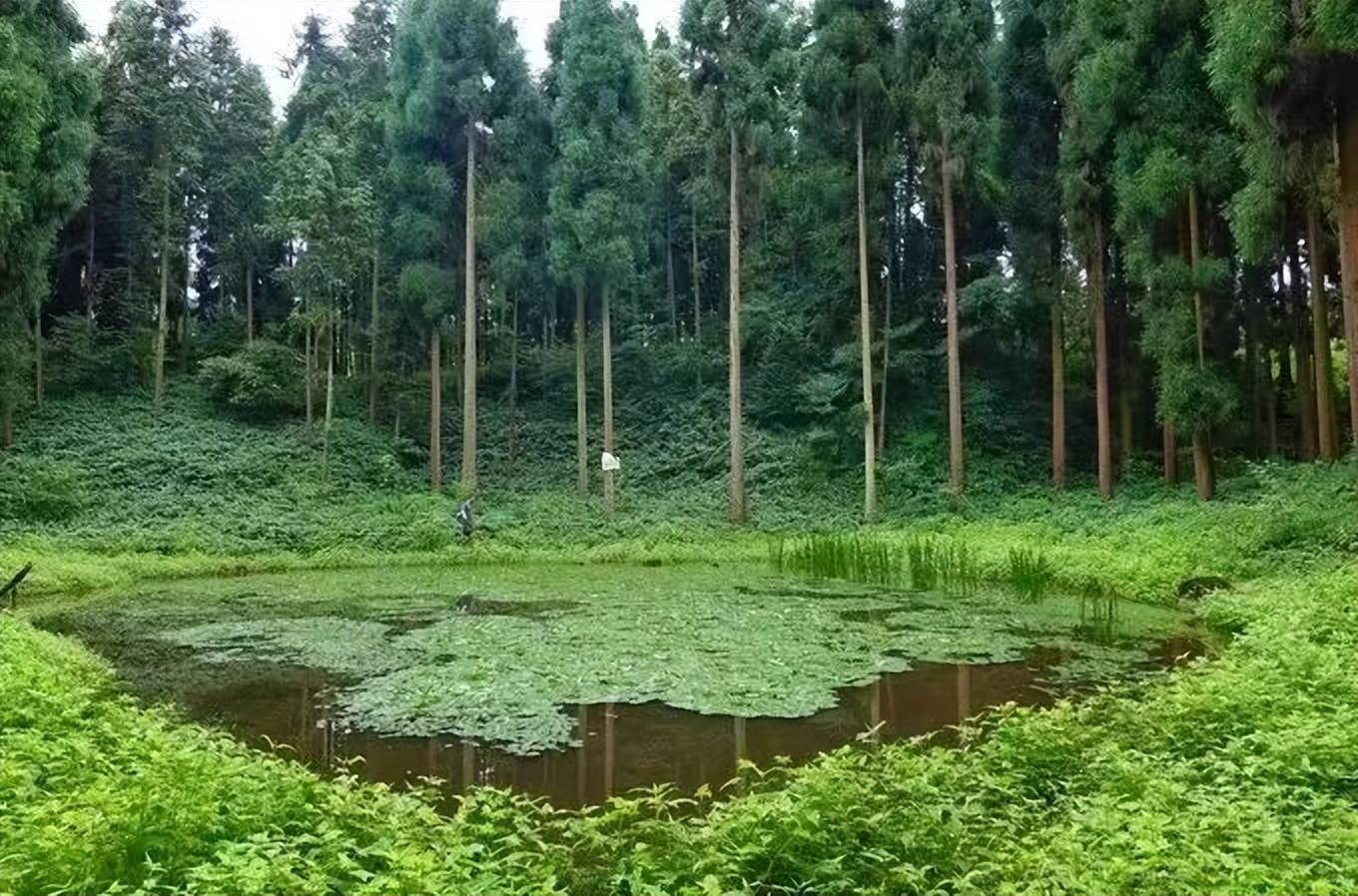 达拉然下水道：神秘的地下秘境，等你来探索