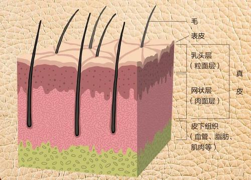 刷经验cf会封号吗_cf刷经验_刷经验成大佬